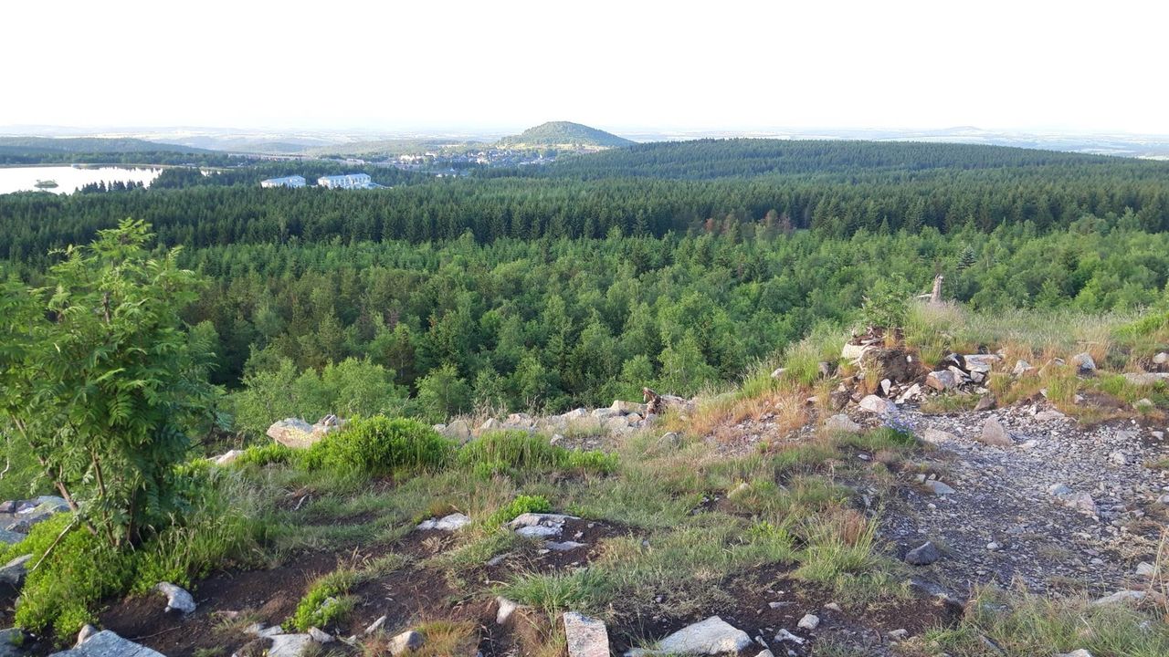 20210621_203337_resized 20210621_203337_resized